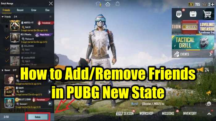 How to Add/Friend/Remove Friends in PUBG New State – PlayerZon Blog