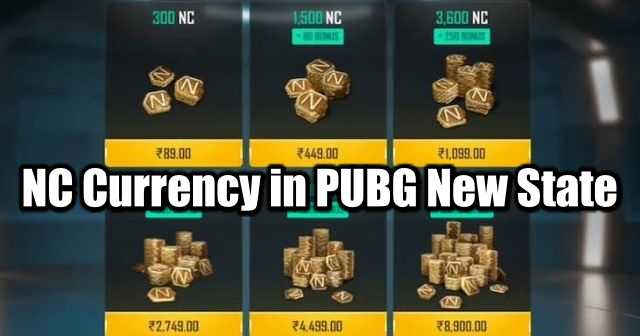 How to Earn NC Money, Step by Step Guide – PlayerZon Blog
