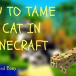 How to tame a Cat in Minecraft? – PlayerZon Blog